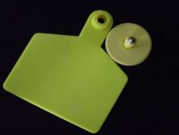 UHF animal ear tag - 03