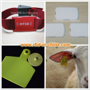 rfid solution for animal management